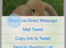 Twitter launches group messaging as it chases shares